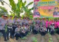 Polsek KKP Batam Panen Raya di Kebun Ketahanan Pangan