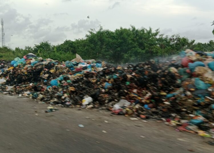Arlon Meminta DLH Segera Mencari Solusi Terkait Sampah yang Menumpuk