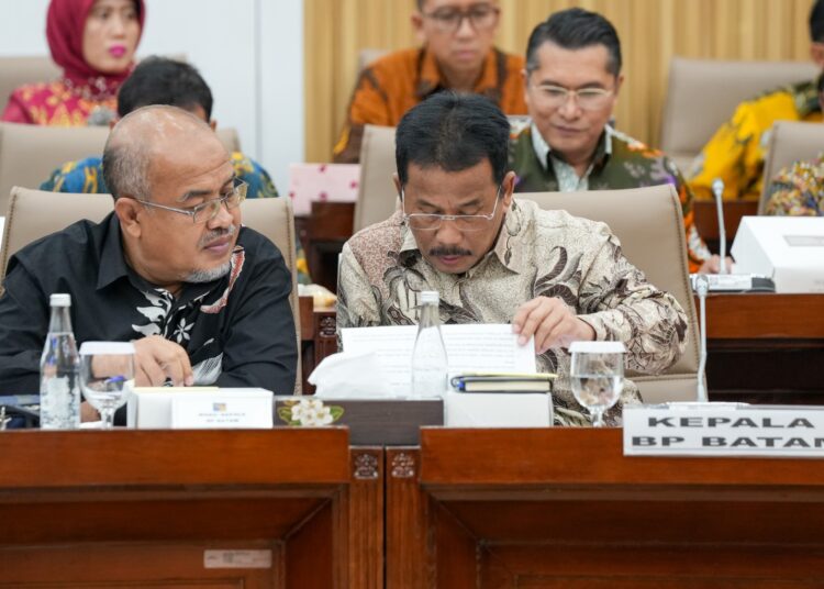 BP Batam Hadiri RDP bersama Komisi VI DPR RI