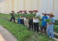 Rutan Batam Berhasil Panen 140 kg Sayur Kangkung dan Bayam