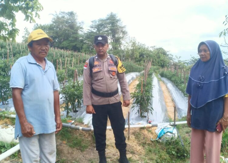Polsek Sungai Beduk Wujudkan Ketahanan Pangan dengan Pemanfaatan Lahan Tidur Jadi Ladang Produktif