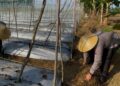 Polsek KKP Batam Ubah Lahan Tidur Jadi Ladang Produktif untuk Dukung Ketahanan Pangan