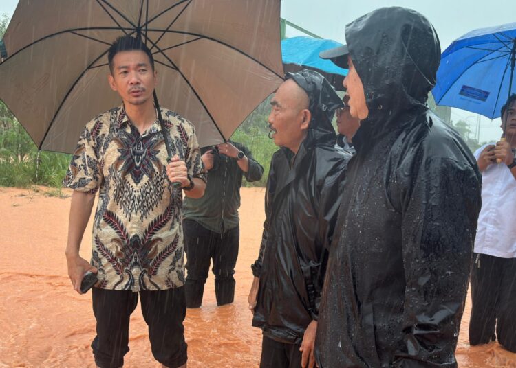 Komitmen Atasi Banjir, BP Batam Rencanakan Bangun Drainase Hingga Kolam Retensi