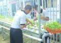 Anak Binaan LPKA Batam Panen Kangkung Hasil Budaya Hidroponik