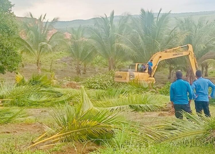 BP Batam Tegaskan Penertiban Lahan di Tanjung Banon Sesuai Prosedur Hukum