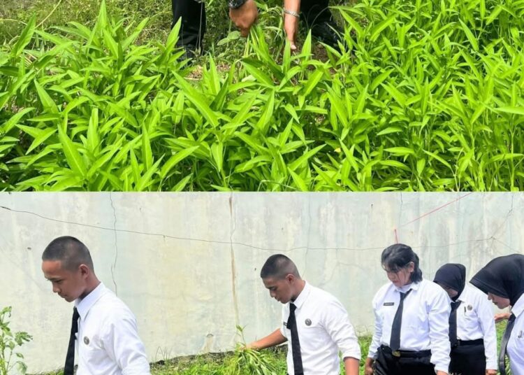 Panen 150 Kg Sayur Kangkung, Rutan Batam Wujudkan Program Ketahanan Pangan