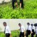 Panen 150 Kg Sayur Kangkung, Rutan Batam Wujudkan Program Ketahanan Pangan