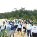 Ketua DPRD Kota Batam Kamaluddin Hadiri Aksi Penanaman Mangrove Bersama LSM Mapan di Kebun Raya Nongsa
