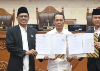 Ketua DPRD Kota Batam Hadiri Konsultasi Publik Rancangan Perubahan PP Kawasan Perdagangan Bebas dan Pelabuhan Bebas Batam