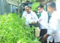 LPKA Kelas II Batam Panen Sayur Mayur, Wujud Nyata Pembinaan Kemandirian Anak Binaan