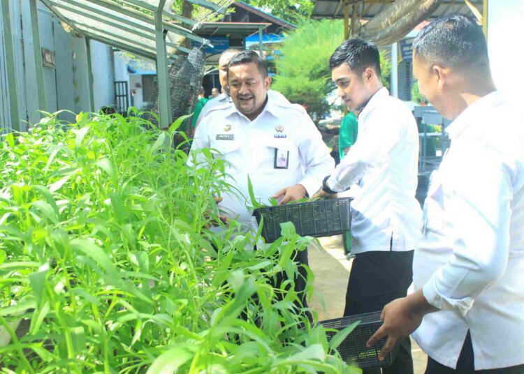 LPKA Kelas II Batam Panen Sayur Mayur, Wujud Nyata Pembinaan Kemandirian Anak Binaan