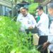 LPKA Kelas II Batam Panen Sayur Mayur, Wujud Nyata Pembinaan Kemandirian Anak Binaan