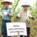 Dukung Ketahanan Pangan Nasional, Polresta Barelang Bersinergi Dalam Panen Raya Jagung di Galang