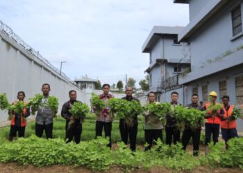 Lapas Batam Tunjukkan Komitmen dengan Kembali panen 200 Kg Sayuran segar