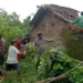 Tuminem Tenang Meski Atap Dapur Ambrol, Sudah Biasa Tinggal di Rumah Tetangga