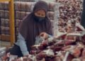 Petani Lahat Menghadapi Fluktuasi Harga Kopi, Bertahan atau Menunggu Keuntungan