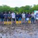PT Batamraya Sukses Perkasa Tanam Ribuan Bibit Mangrove, Wujudkan Komitmen Dampak Lingkungan Sebagai Aksi Nyata Corporate Social Responsibility