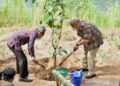 Lari Hutan Sriharjo 2025 di Yogyakarta Hari Ini
