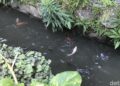 Kisah Ketua RT yang Bangun Kolam Ikan di Atas Selokan, Warga Bisa Ambil Gratis
