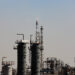 Fertiliser Shockwave: World Bank Warns of Middle East Driven Price Surge