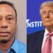 Tiger Woods DUI: Cruel Anti-Trump Protest Joke