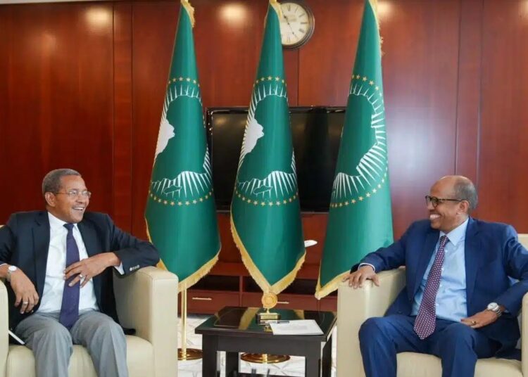 AU Taps Kikwete for Horn of Africa, Red Sea Role