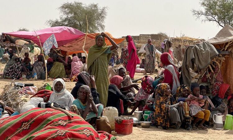 Sudan’s Kordofan: Months Without Aid for Displaced Families, UN Reports