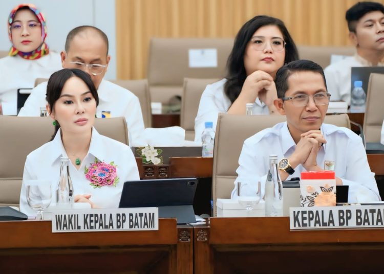 RKA 2027 Rp2,44 Triliun, BP Batam Perkuat Infrastruktur Dan Percepatan Investasi