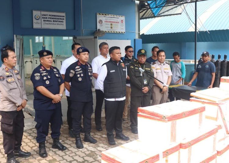 73.477 Benih Bening Lobster Dibudidayakan Di Batam, Dittipidter Bareskrim Polri Berhasil Ungkap Dugaan Penyelundupan